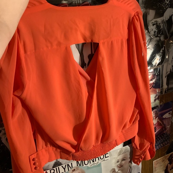 Dynamite sheer polyester crop blouse - Picture 2 of 2